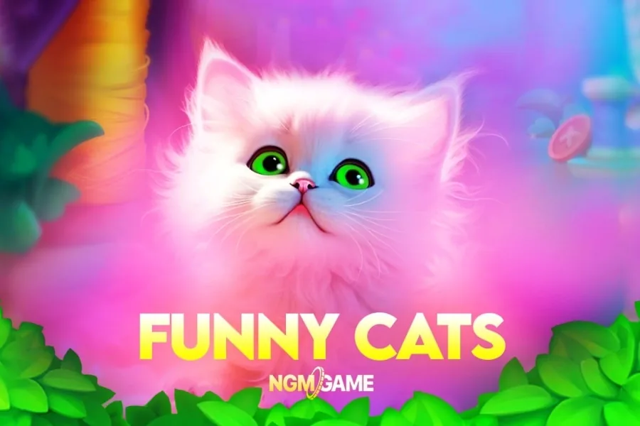 Funny Cats